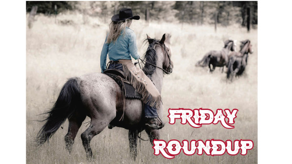 Friday Roundup